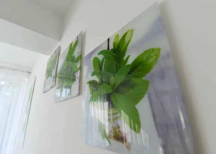 公寓 Sunset Gold 扎达尔